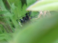 f:id:avdk101:20160604130238j:image