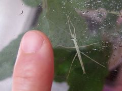 f:id:avdk101:20160606042141j:image