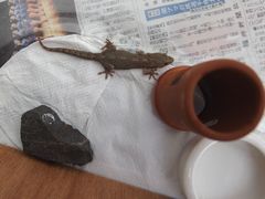 f:id:avdk101:20160607002228j:image