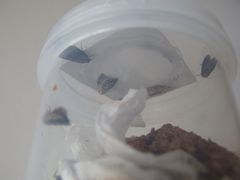 f:id:avdk101:20160621231149j:image