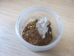 f:id:avdk101:20160702080940j:image