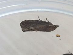 f:id:avdk101:20160702080942j:image