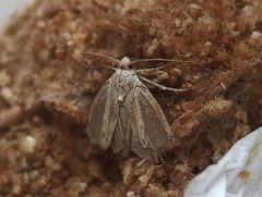 f:id:avdk101:20160702080943j:image