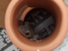 f:id:avdk101:20160702151731j:image