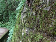 f:id:avdk101:20160703190613j:image