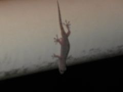 f:id:avdk101:20160714233721j:image