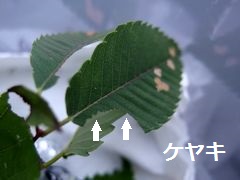 f:id:avdk101:20160726054407j:image f:id:avdk101:20160726054407j:image