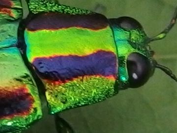 f:id:avdk101:20160726210908j:image f:id:avdk101:20160726210908j:image