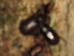 f:id:avdk101:20160801062359j:image