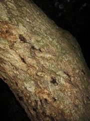 f:id:avdk101:20160805051146j:image
