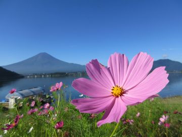 f:id:avdk101:20160828223833j:image