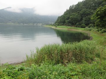 f:id:avdk101:20160904215528j:image f:id:avdk101:20160904215528j:image