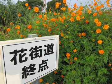 f:id:avdk101:20160904215530j:image f:id:avdk101:20160904215530j:image