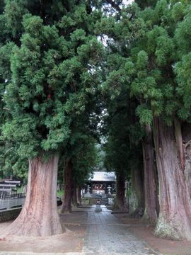 f:id:avdk101:20160913204754j:image f:id:avdk101:20160913204754j:image