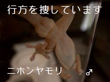 f:id:avdk101:20161008214716j:image