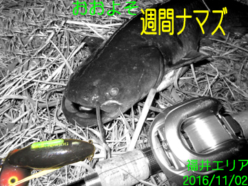 f:id:avdk101:20161102214830j:image