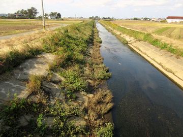 f:id:avdk101:20161109062443j:image