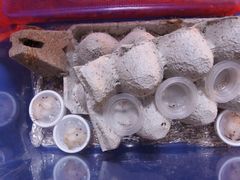 f:id:avdk101:20161119215519j:image