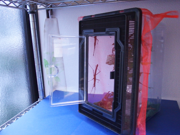 f:id:avdk101:20170409070710j:image