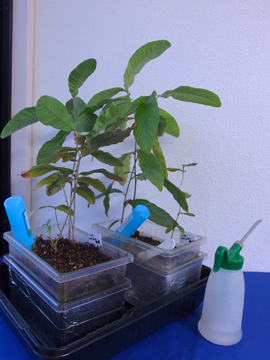 f:id:avdk101:20170409070712j:image