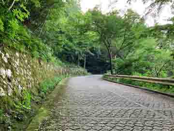 f:id:avdk101:20190811142516j:plain f:id:avdk101:20190811142516j:plain