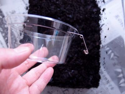 f:id:avdk101:20200907220433j:plain