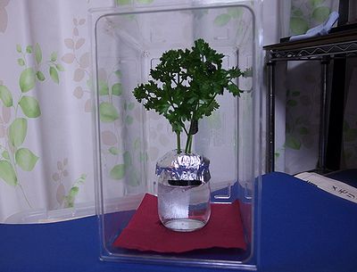 f:id:avdk101:20201024212709j:plain