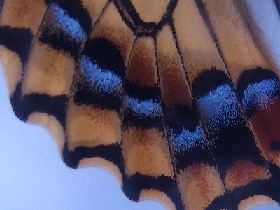 f:id:avdk101:20201113054015j:plain