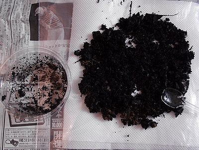 f:id:avdk101:20201115180901j:plain