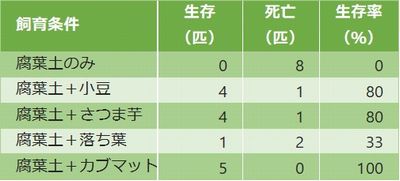 f:id:avdk101:20201115181327j:plain