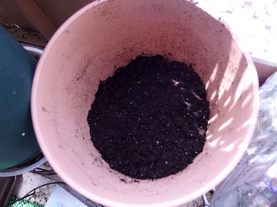 f:id:avdk101:20210620222517j:plain