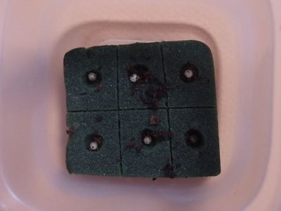 f:id:avdk101:20210806053959j:plain