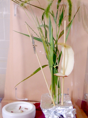 f:id:avdk101:20211008221452j:plain