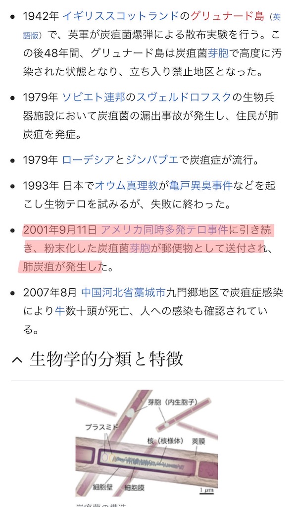 アベノマスク 炭疽菌 マスク２枚の危険性 マルチクリエイト 2児パパサロン