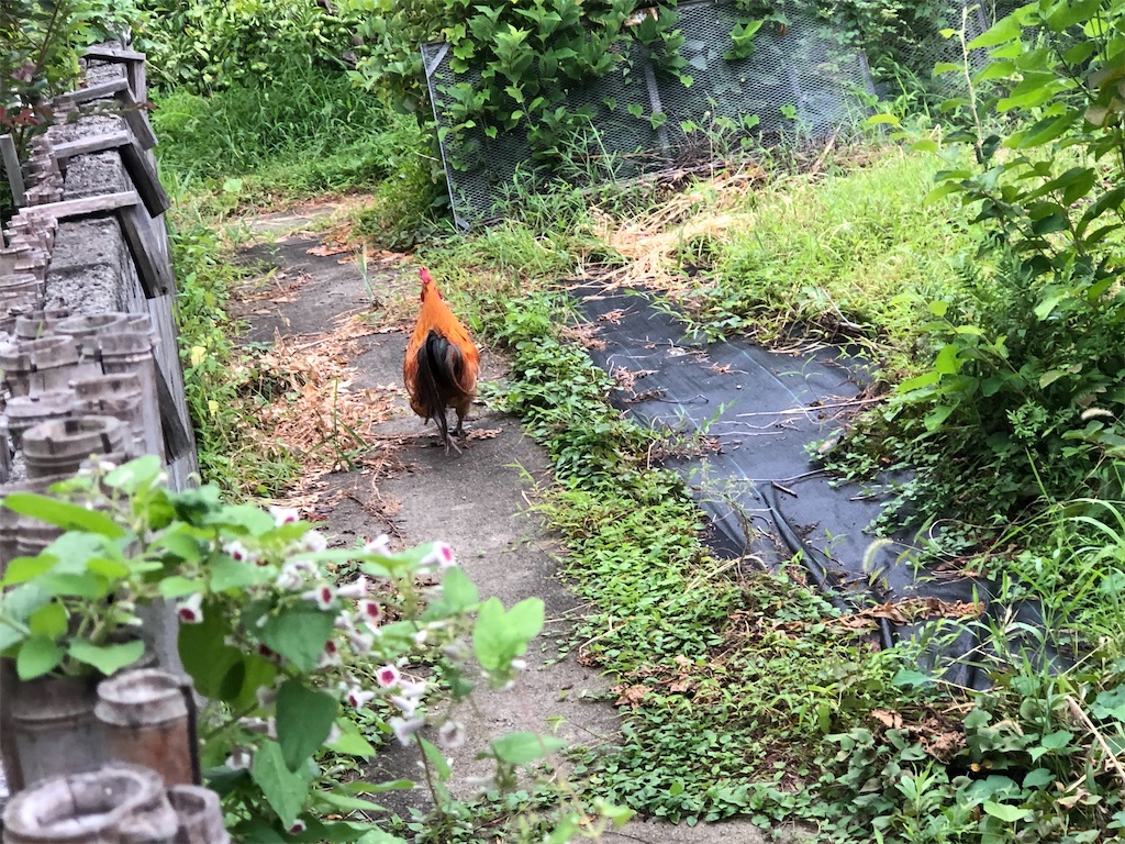 f:id:avel8468:20230910195400j:image f:id:avel8468:20230910195400j:image