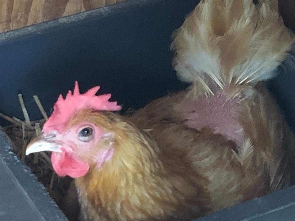 f:id:avel8468:20230910195406j:image f:id:avel8468:20230910195406j:image