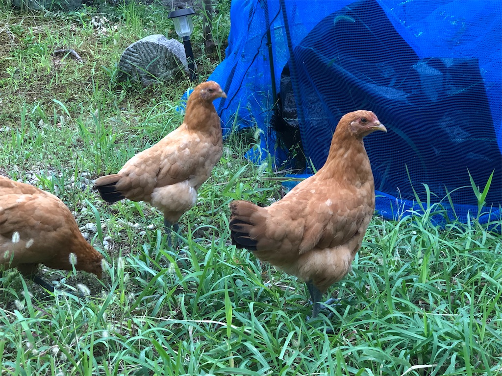 f:id:avel8468:20230910195409j:image f:id:avel8468:20230910195409j:image