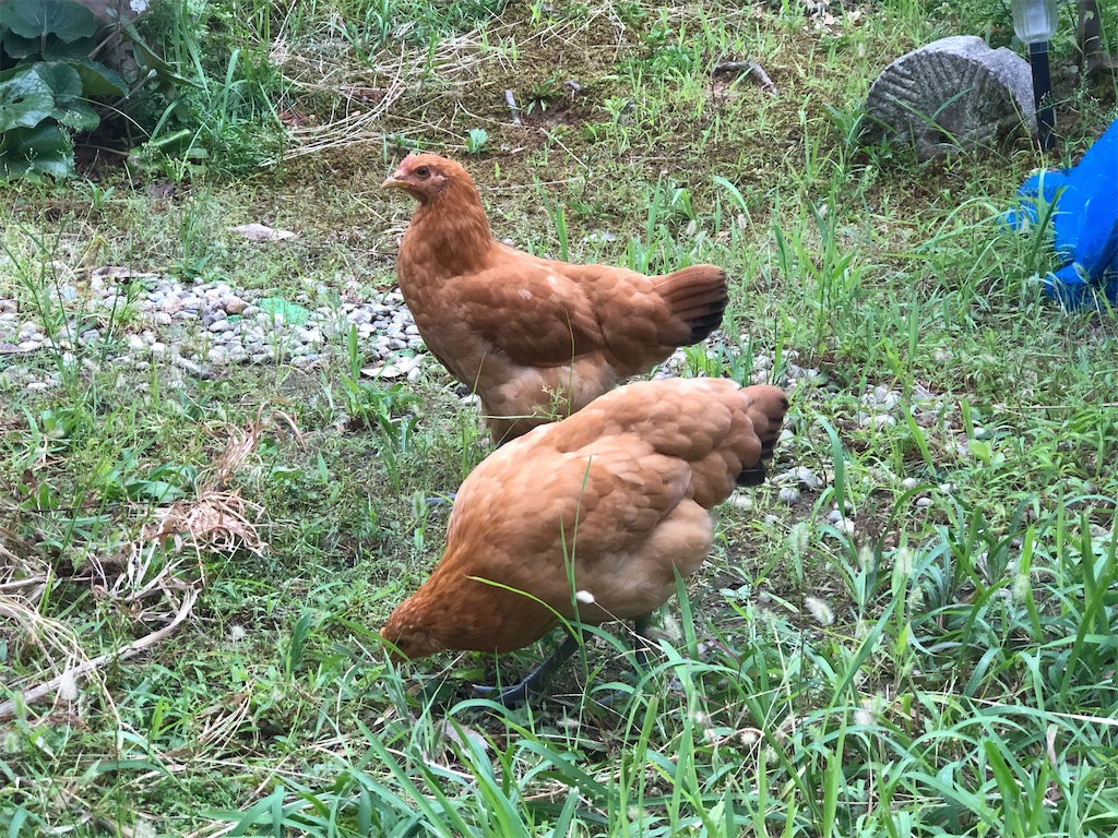 f:id:avel8468:20230910195413j:image f:id:avel8468:20230910195413j:image