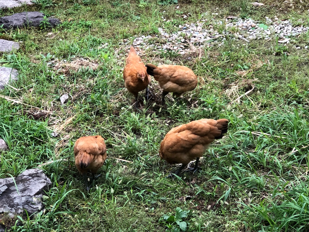 f:id:avel8468:20230910195416j:image f:id:avel8468:20230910195416j:image