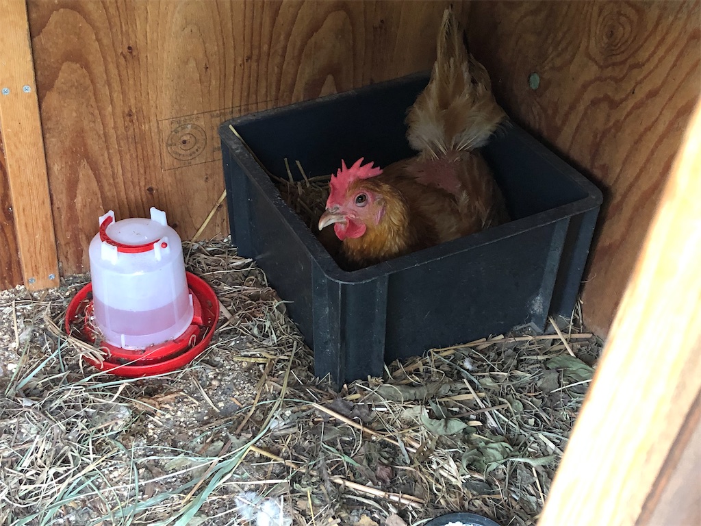 f:id:avel8468:20230910195419j:image f:id:avel8468:20230910195419j:image