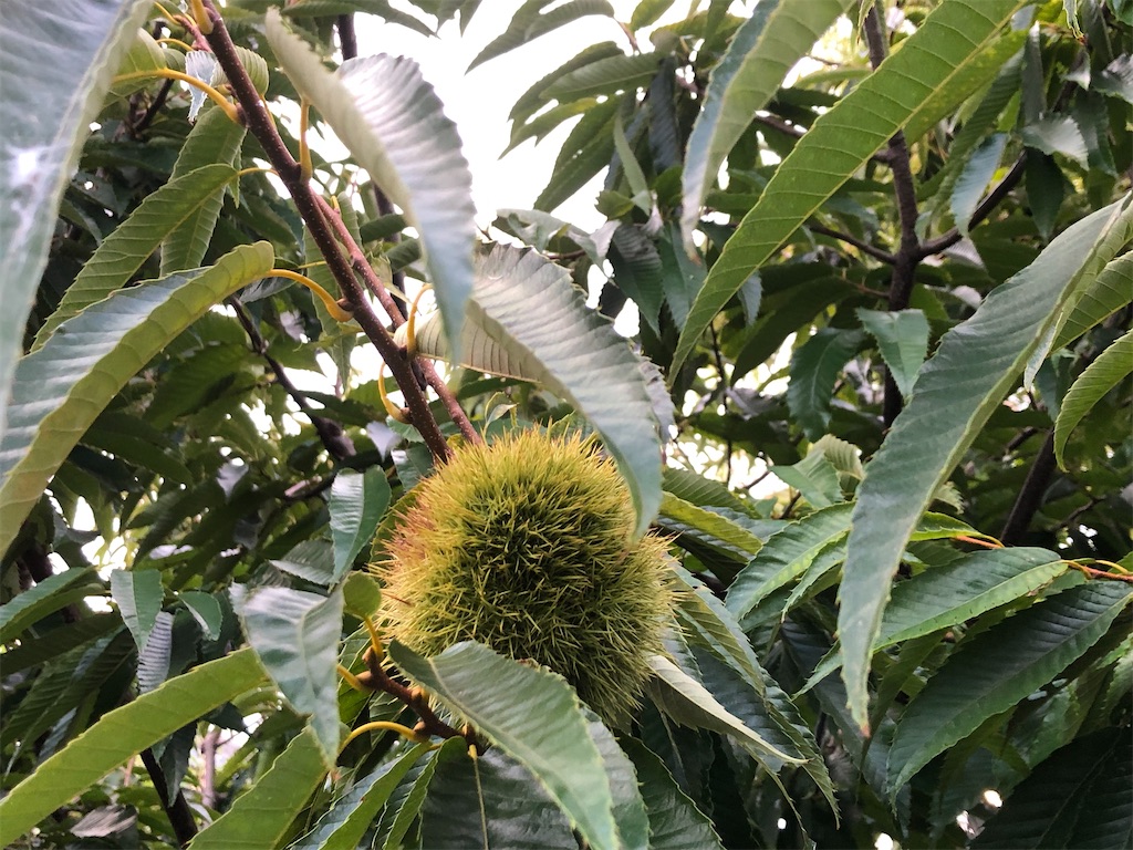 f:id:avel8468:20230922211950j:image f:id:avel8468:20230922211950j:image