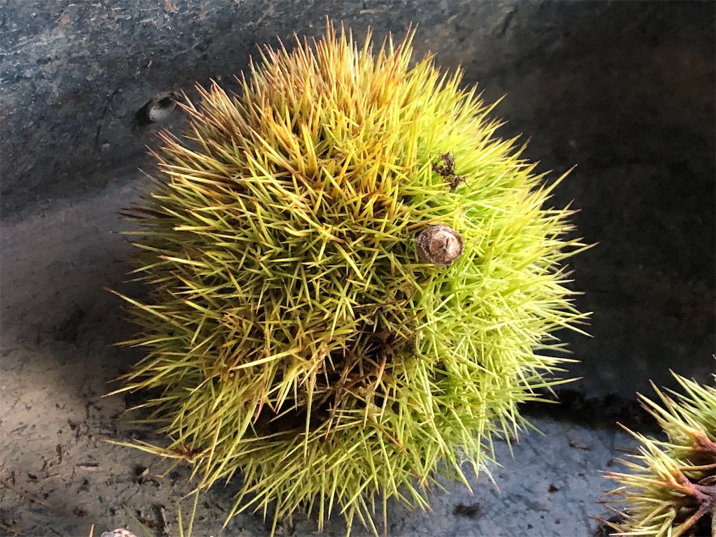 f:id:avel8468:20230922212004j:image f:id:avel8468:20230922212004j:image