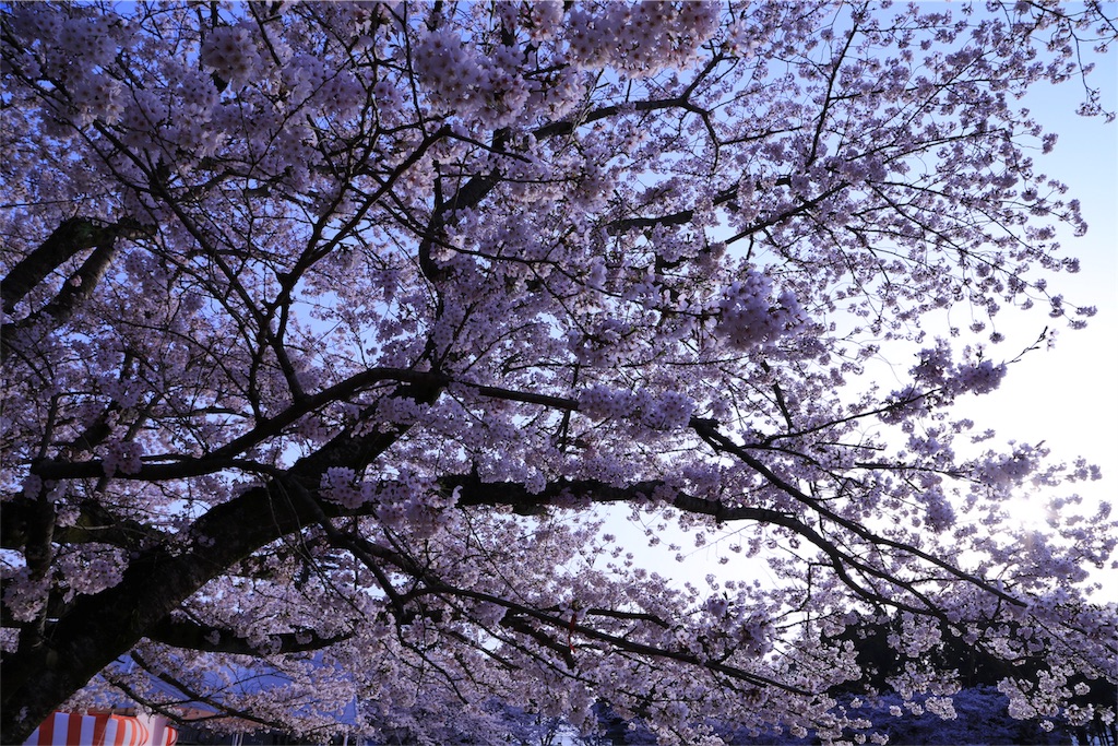 f:id:aven11:20180401065213j:image f:id:aven11:20180401065213j:image