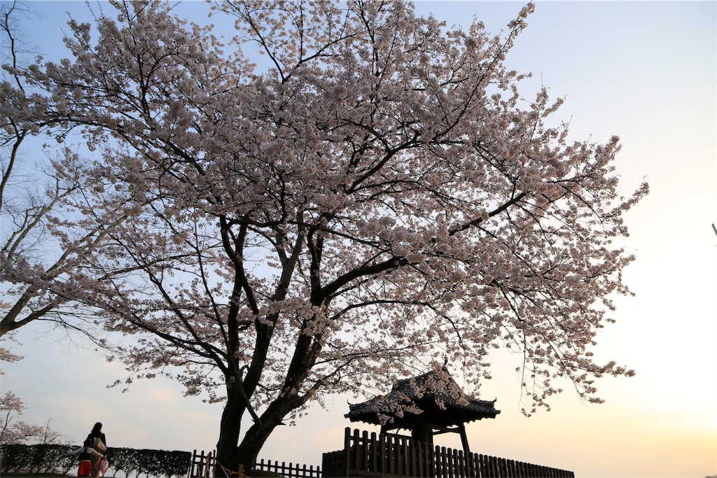 f:id:aven11:20180401065825j:image f:id:aven11:20180401065825j:image