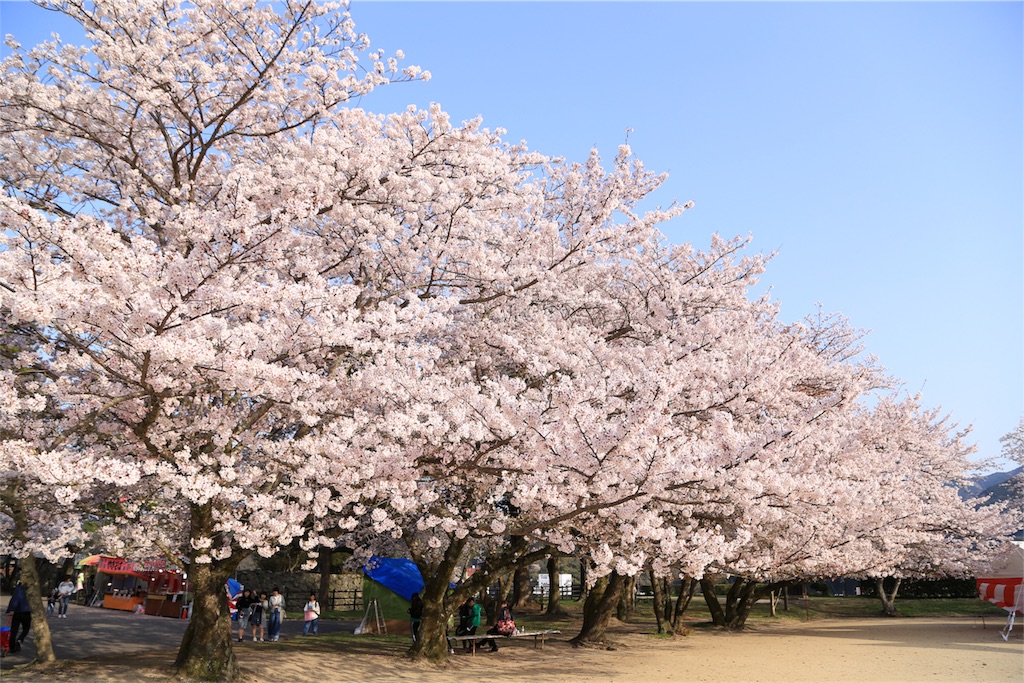 f:id:aven11:20180401070213j:image f:id:aven11:20180401070213j:image