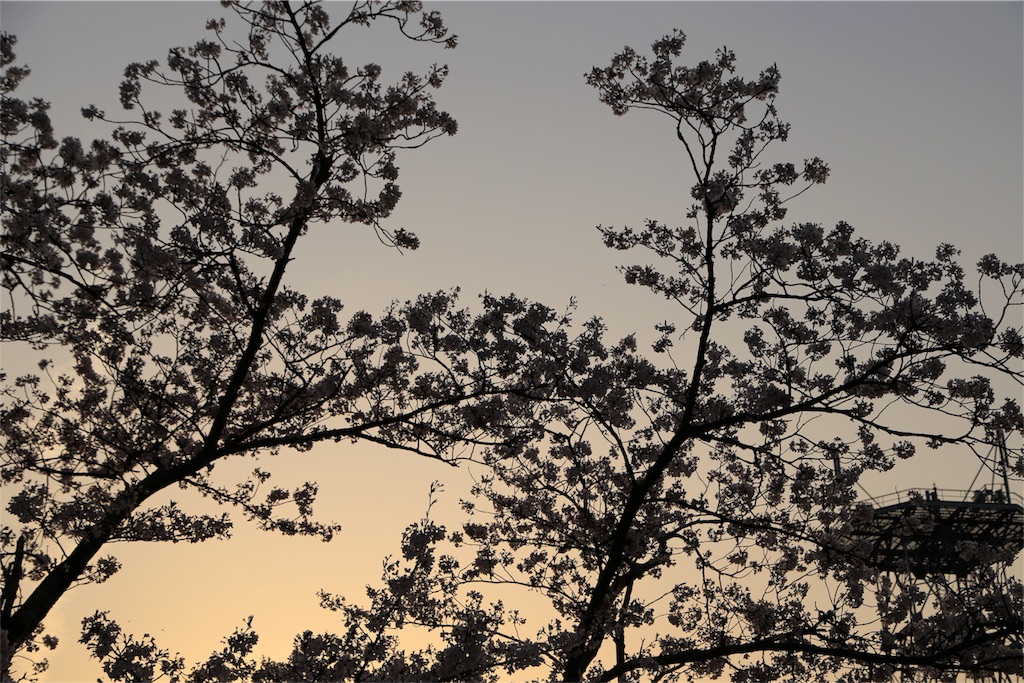 f:id:aven11:20180401070421j:image f:id:aven11:20180401070421j:image