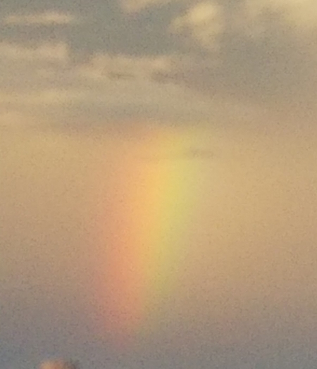 f:id:aviddance:20180823125600j:plain f:id:aviddance:20180823125600j:plain