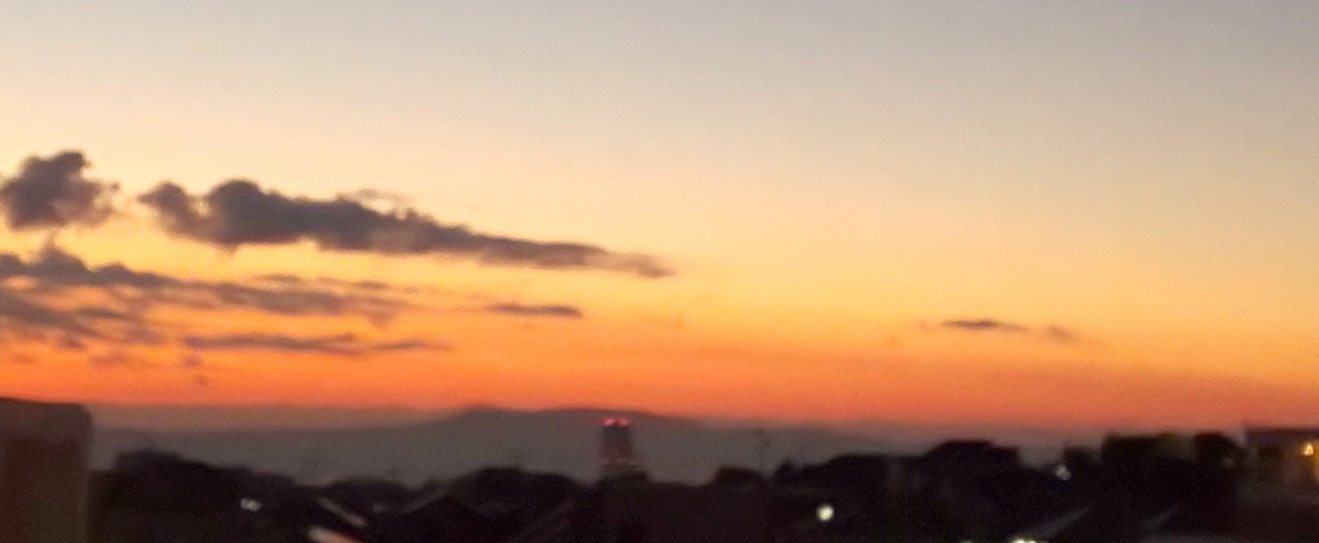 f:id:aviddance:20201021062630j:plain f:id:aviddance:20201021062630j:plain