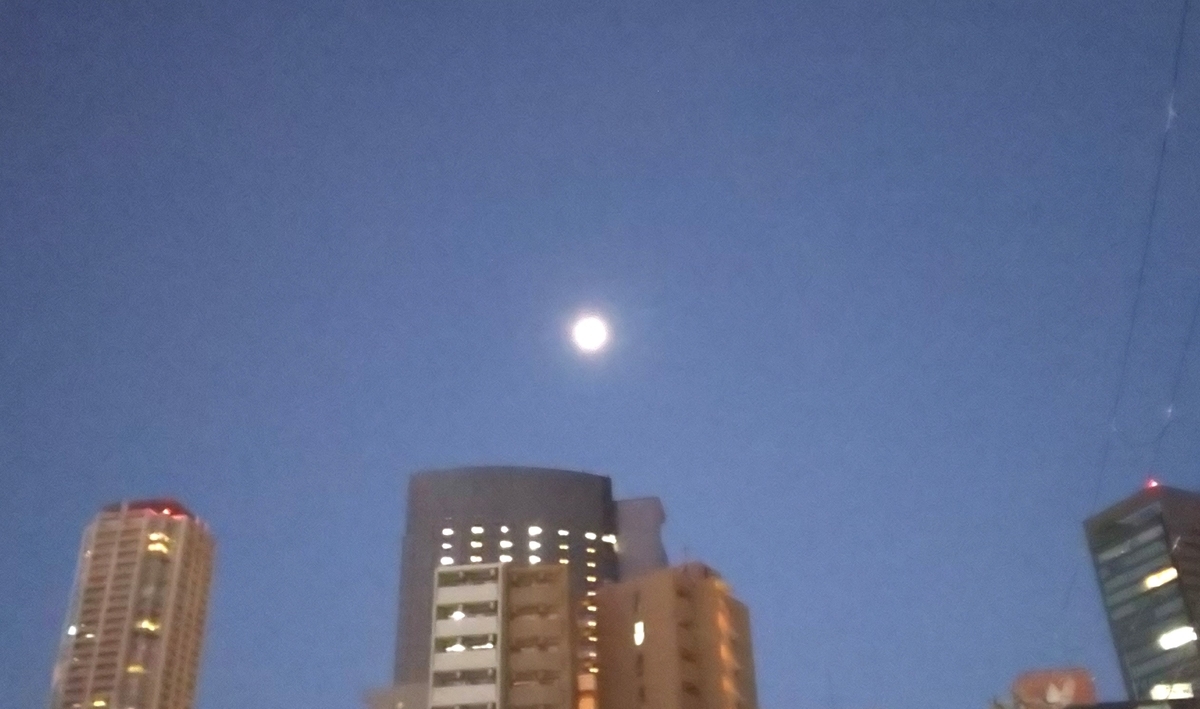 f:id:aviddance:20220121065833j:plain