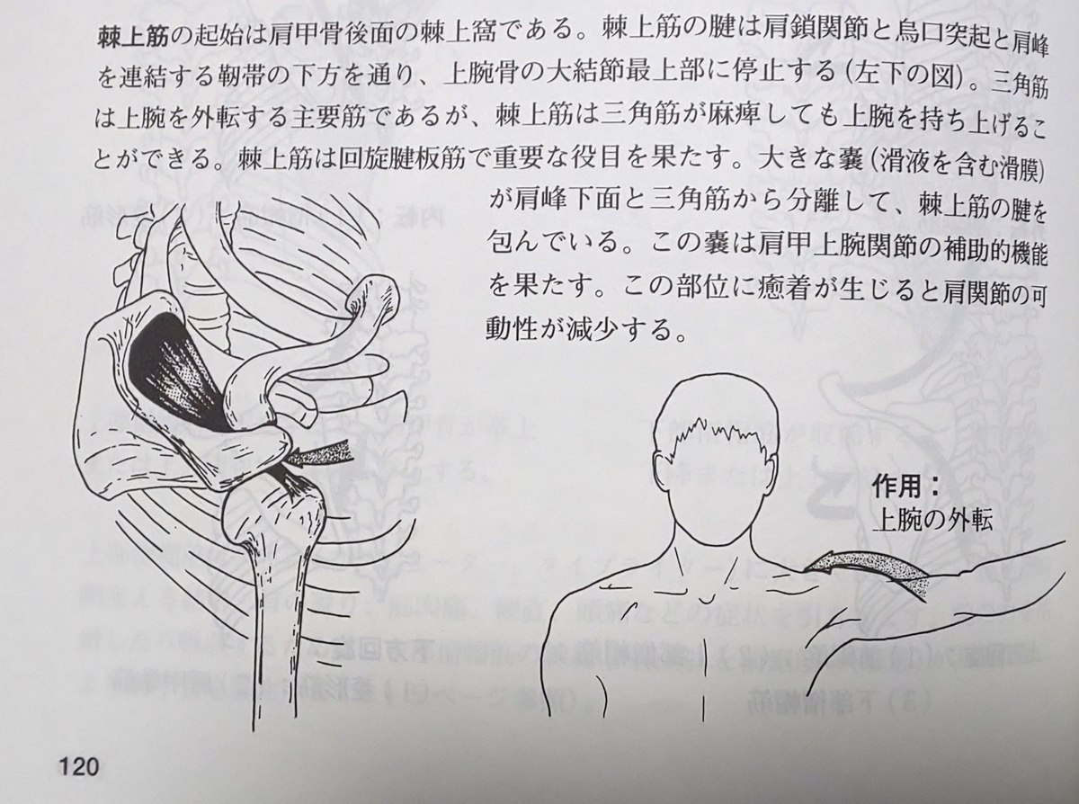 ダンス上達のコツ】美しいホールドは小指がキーポイント！？ - 社交